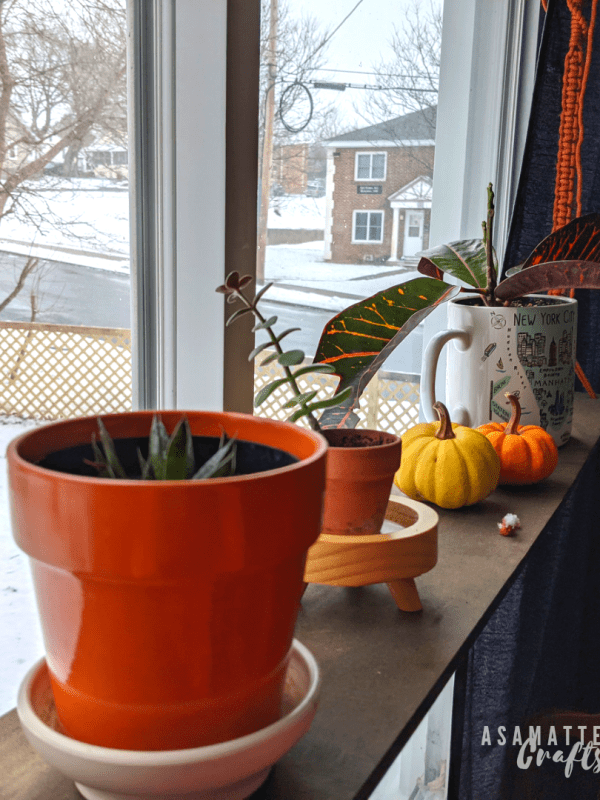 DIY Macrame Plant&nbsp;Hanger